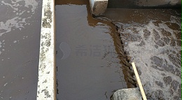 重金属离子去除方法