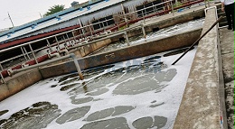 除氨氮方法