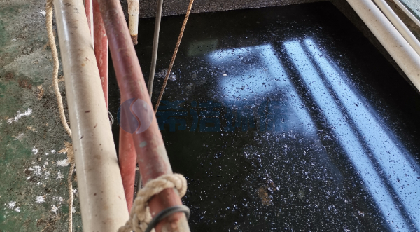 怎么处理总磷超标