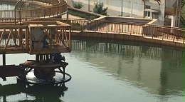 快速去除氨氮