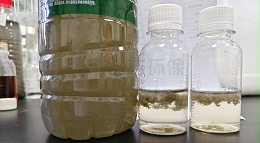 除漆剂