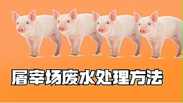 屠宰废水氨氮超标原因及处理方法