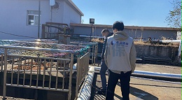水体氨氮怎么处理