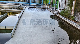 生活污水总磷超标怎么处理