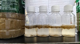 漆雾AB剂怎么使用