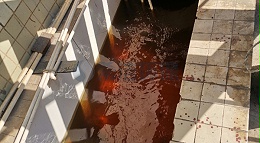 污水脱色处理方法