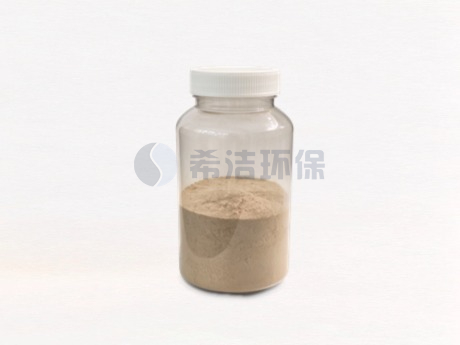 反硝化菌