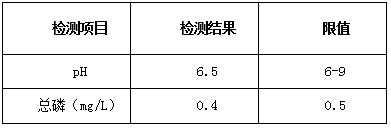 污水总磷调试后结果