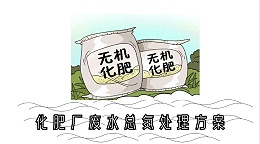 化肥厂废水总氮处理方案