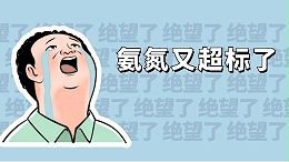 氨氮超标这样处理
