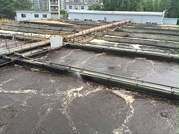 高浓度重金属的去除方法（图）