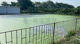 杀菌灭藻剂