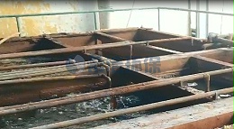 CASS工艺除磷剂加在什么位置