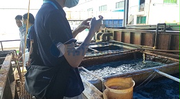 如何去除水中重金属
