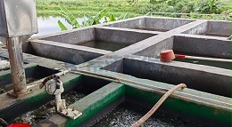 电镀污水处理氨氮高怎么办