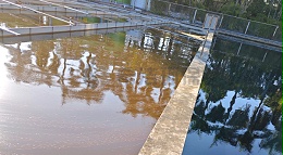 脱色剂脱色原理