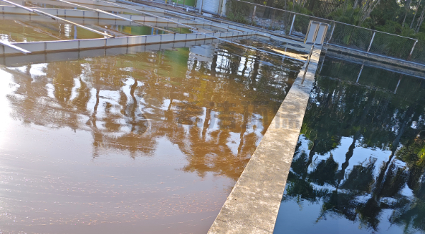 脱色剂脱色原理