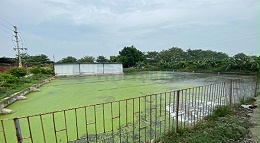 水产养殖尾水磷的处理方法