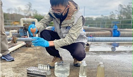 废水脱色剂