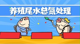 养殖尾水总氮处理