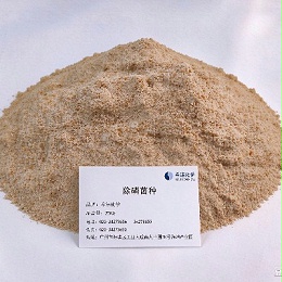 除磷菌种