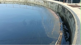 氨氮去除剂