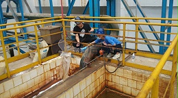 氨氮去除剂投加方法