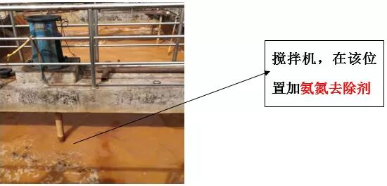 氨氮去除剂投加点